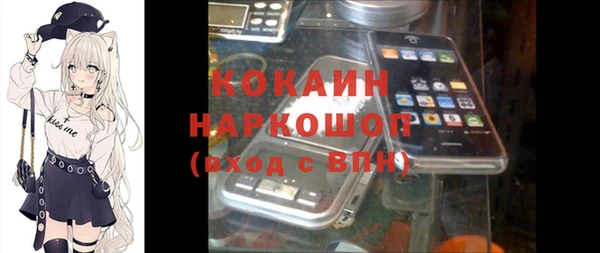 индика Баксан