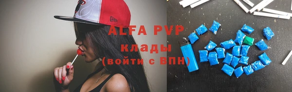 индика Баксан