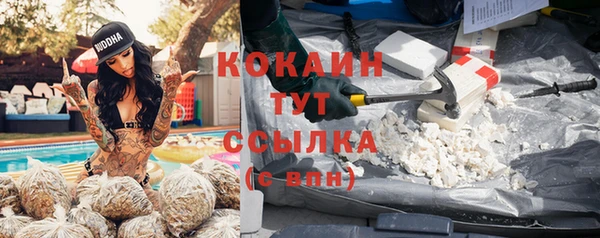 индика Баксан