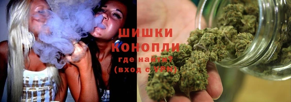 a pvp Аркадак