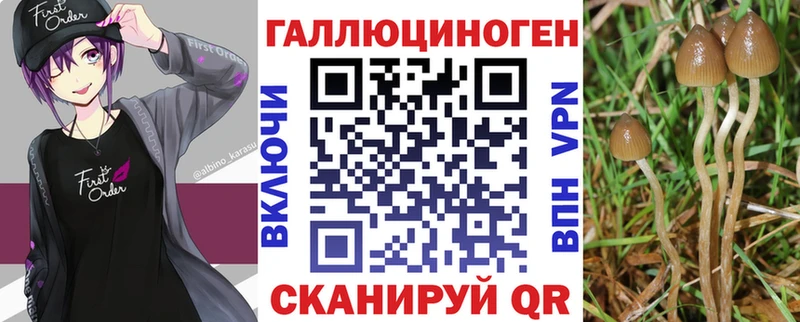 купить наркотик  Порхов  hydra вход  Галлюциногенные грибы мухоморы 